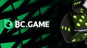 Discover the Exciting World of BC.Game Pakistan