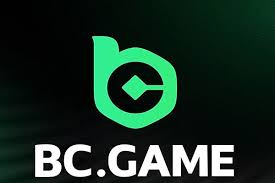 Understanding the Withdrawal Process on BCGame 1016789612